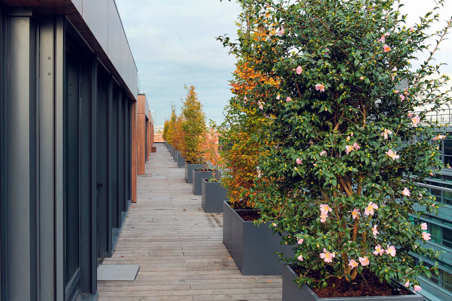 Bechu et Associés - Image