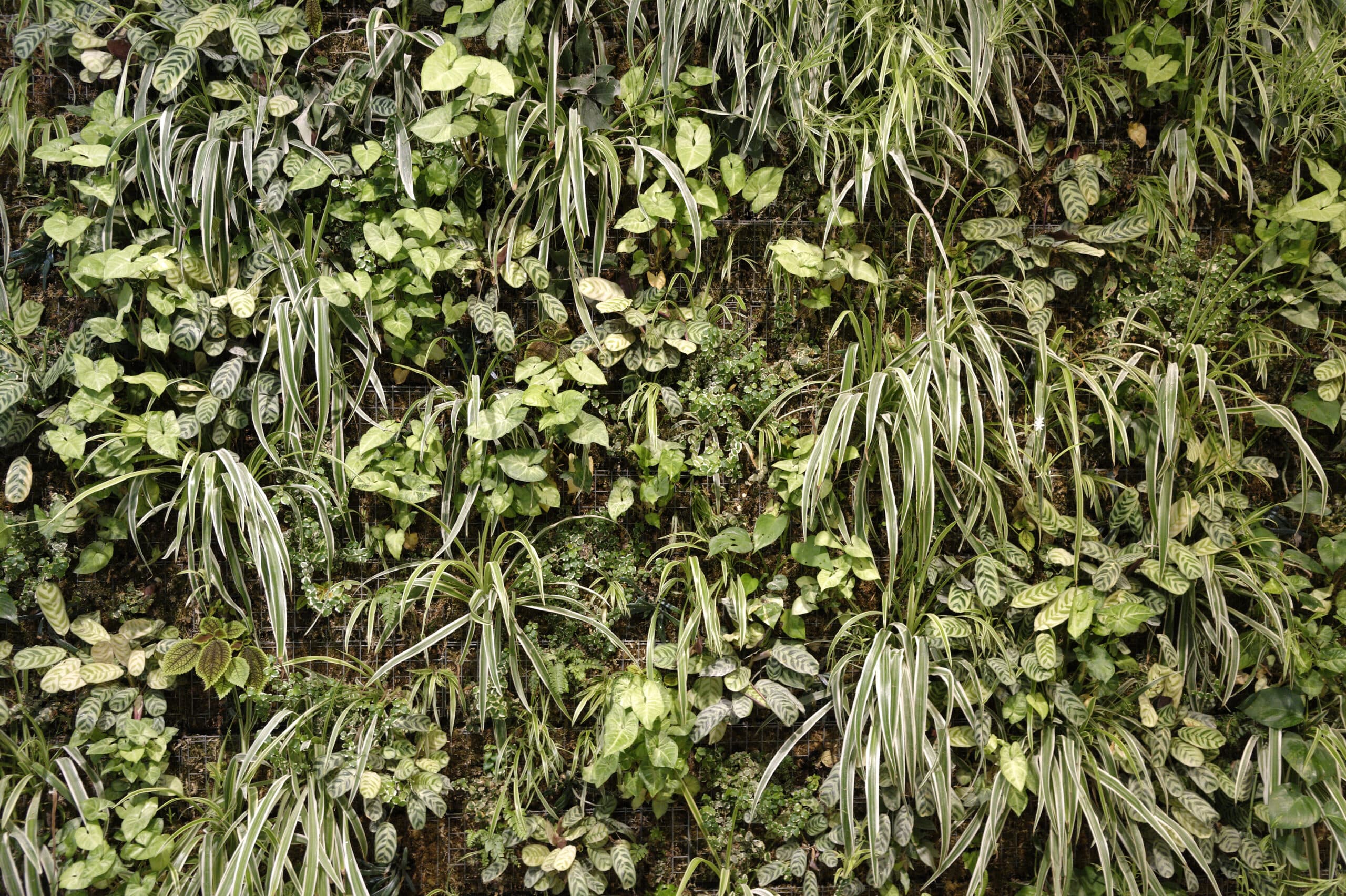 Bechu et Associés - Image